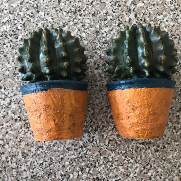 Other - Cactus decor